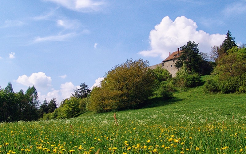 Friedinger Wahrzeichen: Die Burg Hohenfriedingen wird auch Friedinger Schlössle genannt