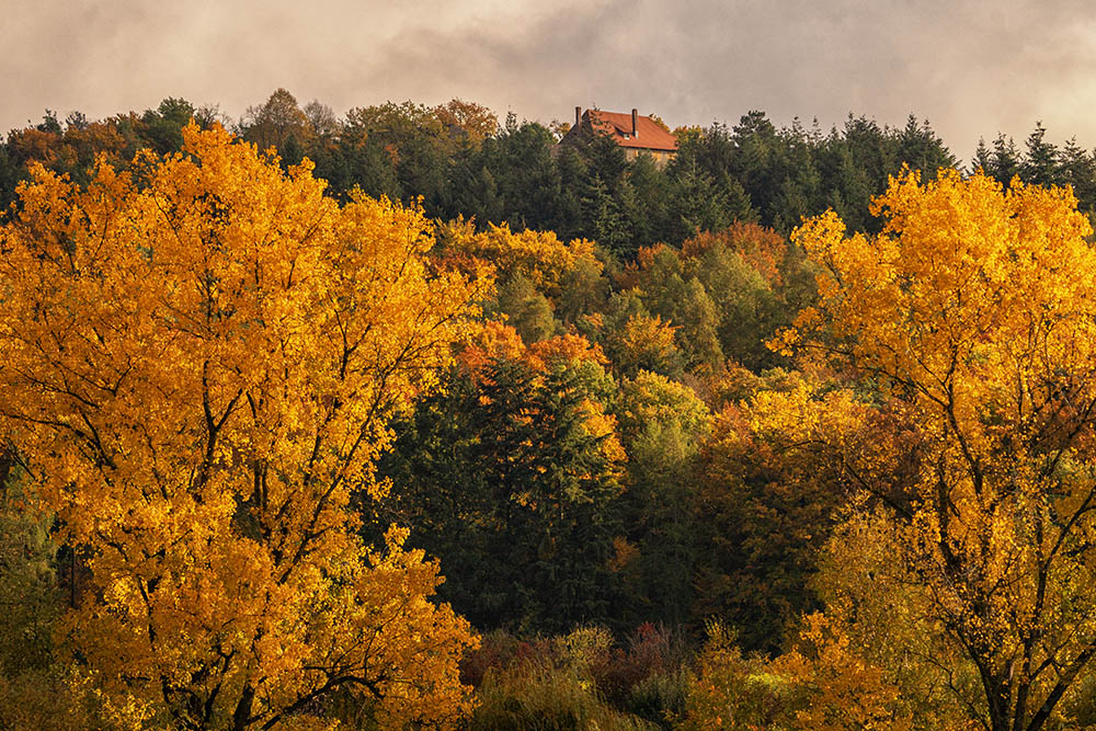 Herbst auf dem Friedinger Schlossberg